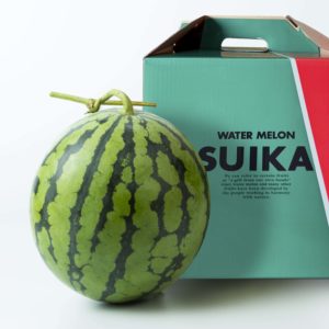 坂口農産の富良野山部鳳凰坂口農産スイカ